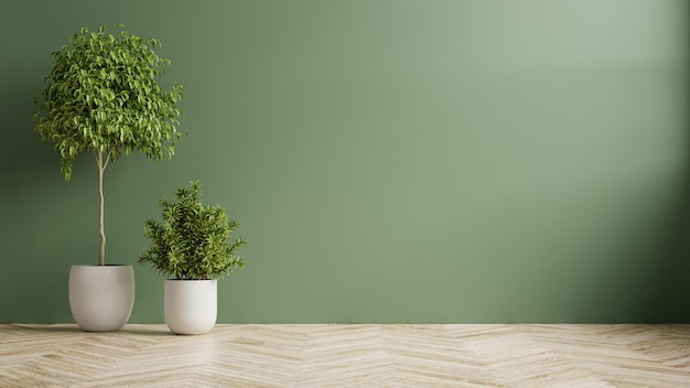 Green wall empty room with plants on a wooden floor.3D rendering