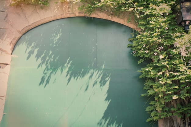 Green wall on exterior of building