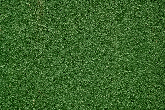 Green Wall Texture