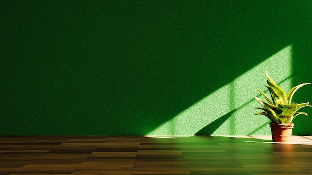 Фото Зеленая стена с солнечным светом, проходящим через окно
