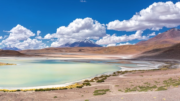 Green water under sunlight. Lagoon of Honda in Bolivian Altiplano. Bolivia, South America