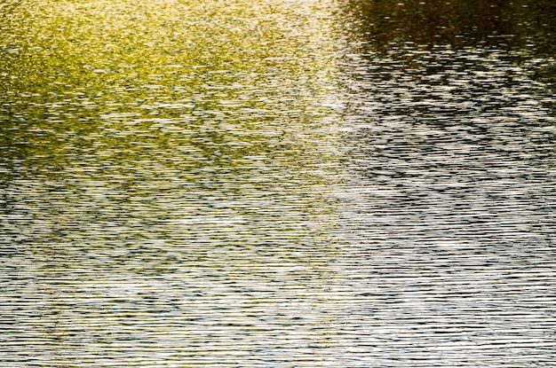 Green Water Texture