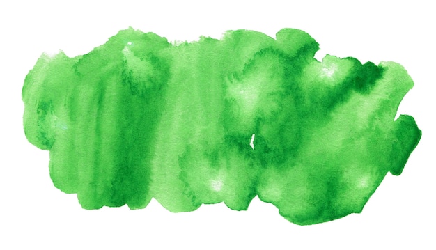 Green watercolor art hand paint on white background isolated brush texture