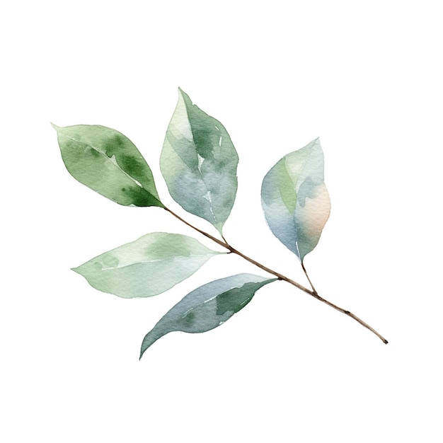 Green watercolor leaf branch