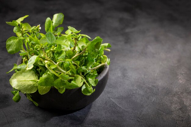 Green watercress in bowl on the table