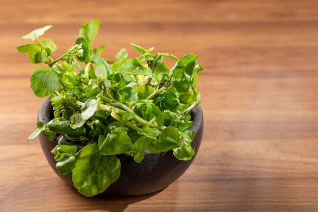 Green watercress in bowl on the table