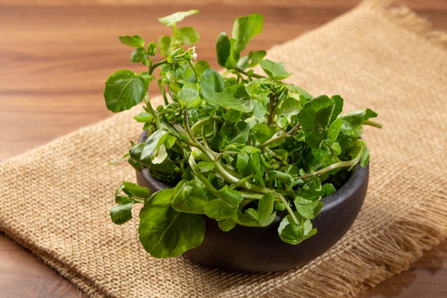 Green watercress in bowl on the table