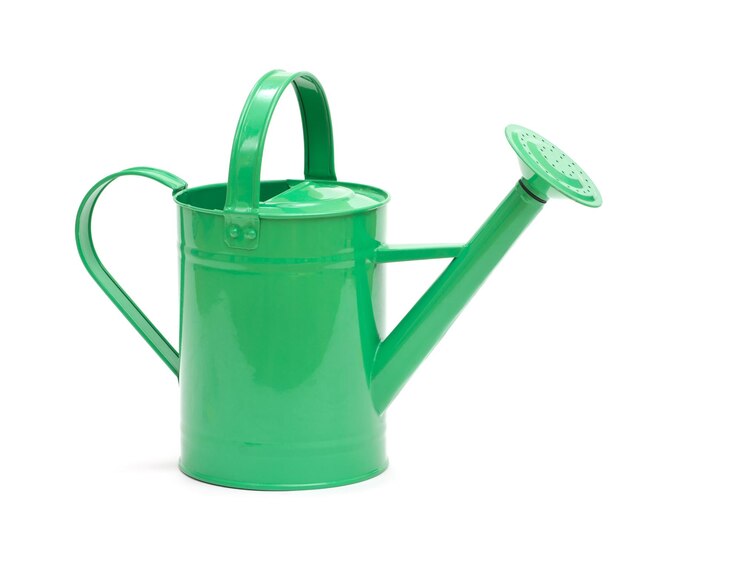 Photo green watering can isolated on a white background