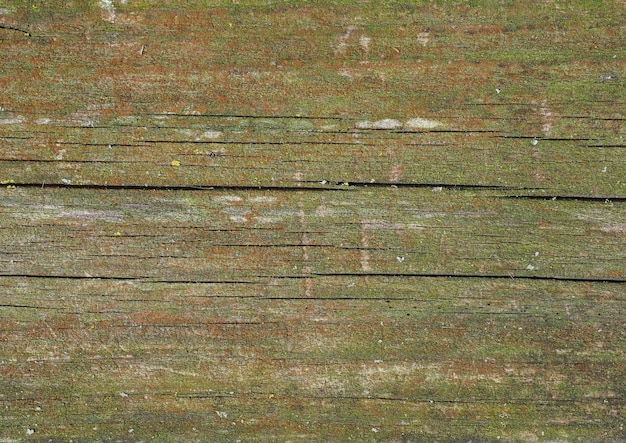 Green weathered wood with moss texture background