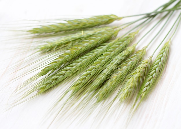 Green wheat ears isolated on white close up