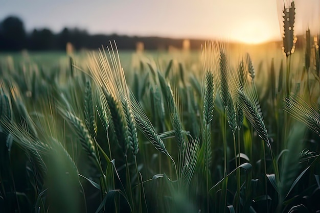 Photo green wheat fields ai technology generated image