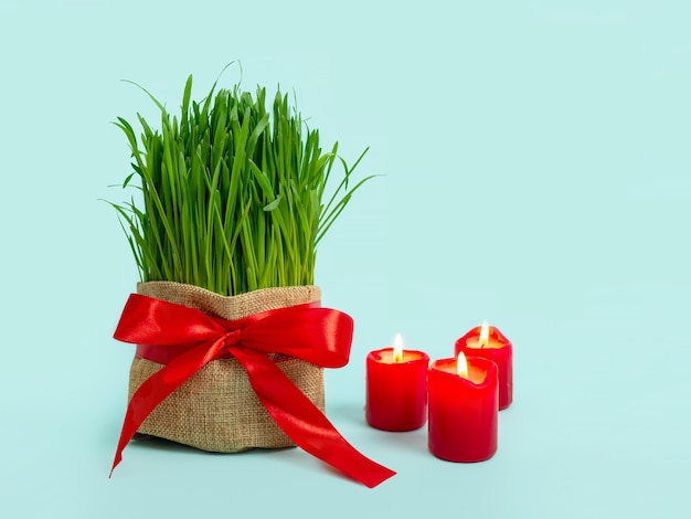 Foto germogli di grano verde per la festa di nowruz celebrazione tradizionale dell'equinozio di primavera nuovo orientale persiano