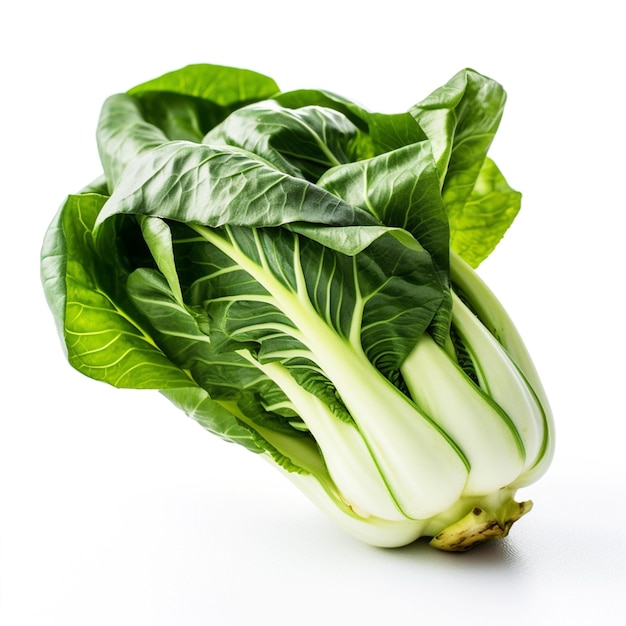 A green and white bok choy isolated in white background