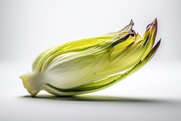 A green and white cabbage flower is laying on a white surface.