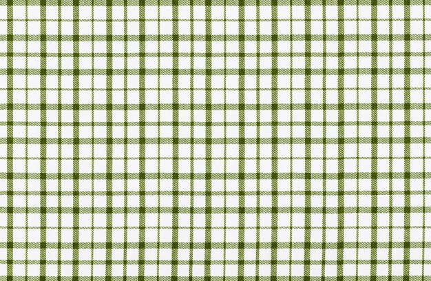 Photo green white texture of factory fabric for tailoring cotton checkered fabric