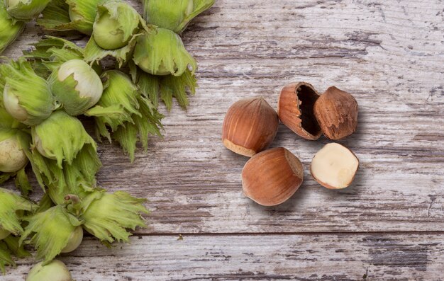 Green wild hazelnut