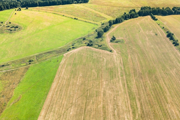 Green winter and yellow harvested fields on hills