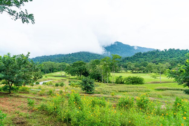 Green with Sand bunkers on Golf course