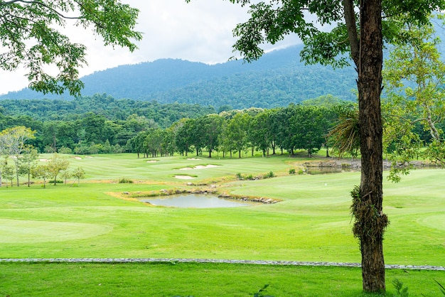 Green with Sand bunkers on Golf course