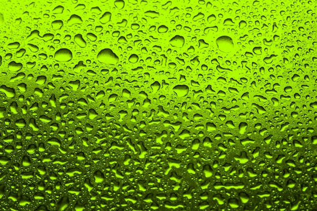 Green  with water droplets green background