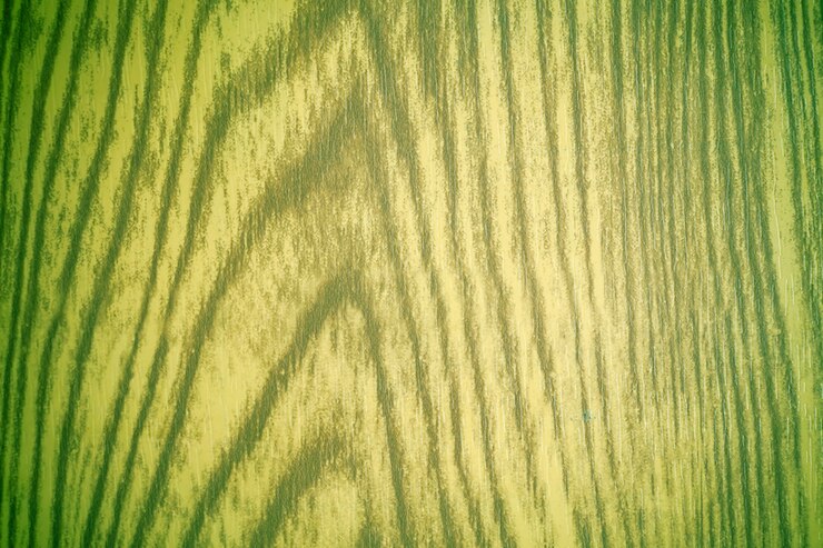 Photo green wood background.