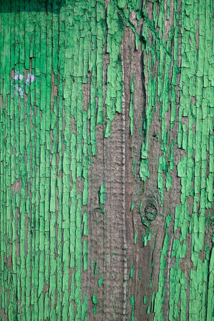 A green wood wall with a rough textured surface and a wooden plank with green paint