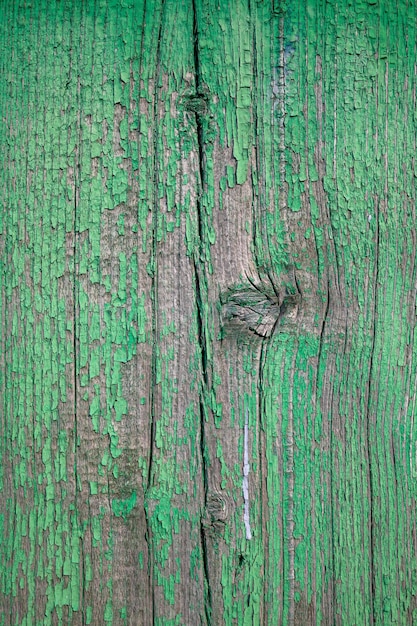 A green wood with a knot in the middle