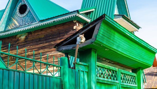 Foto casa di legno verde con un tetto verde e un gatto sul tetto