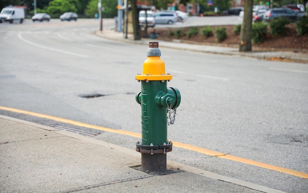 A green and yellow fire hydrant with a yellow top.