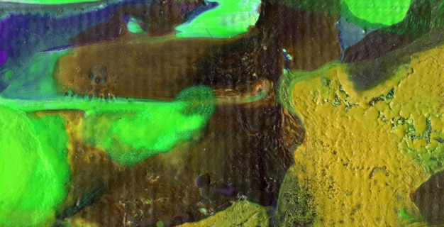 A green and yellow image of a fish