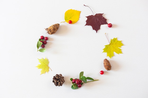 Green and yellow leaves with berries