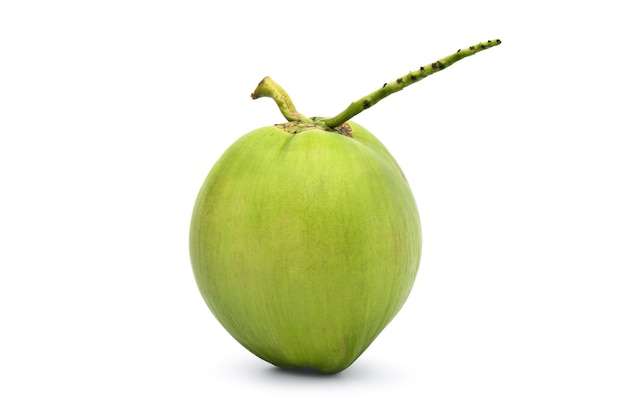 Green young coconut fruit isolated on white surface with clipping path