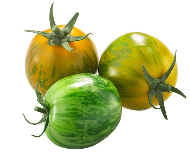 Green Zebra heirloom tomatoes isolated