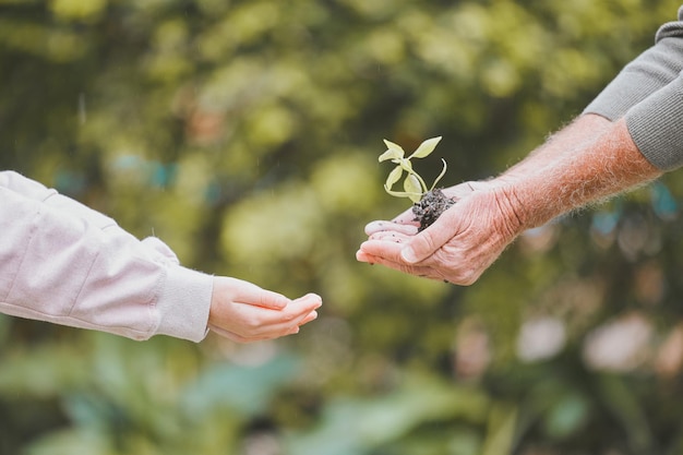 A greener tomorrow begins today Shot of a group of unrecognisable senior man and a little girl holding a plant growing out of soil