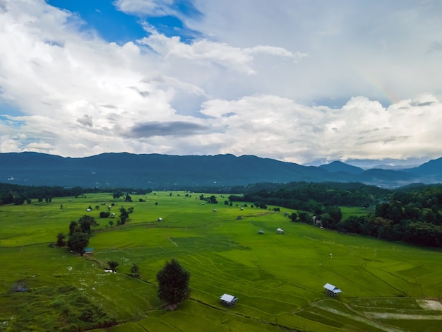 Foto campi di agricoltura verde con cielo nuvoloso