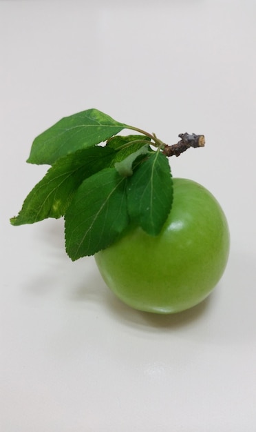 Greengage plum with leaves under studio lights from top view