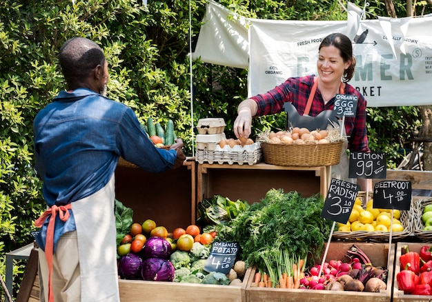 Greengrocer preparing organic fresh agricultural product at farmer market