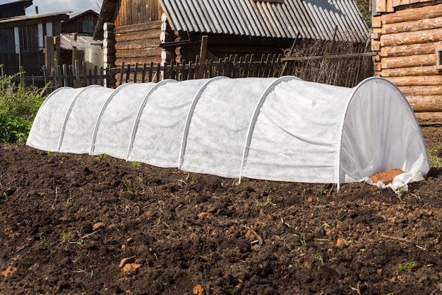 Greenhouse for cucumbers