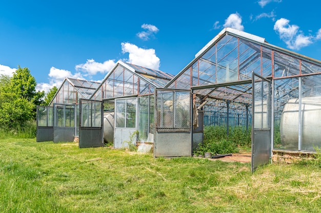 Greenhouse on the farm for growing healthy vegetables without chemistry