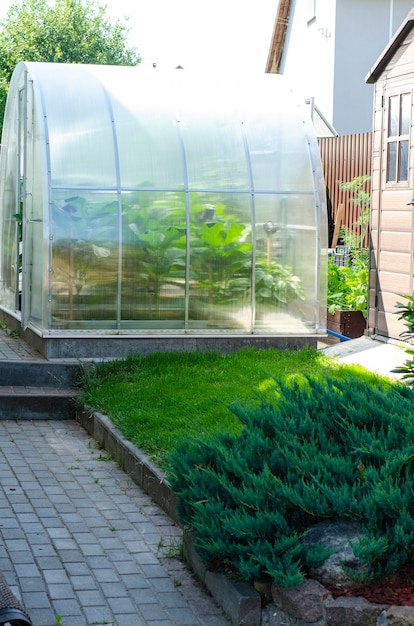 Greenhouse for growing vegetables in garden near house.