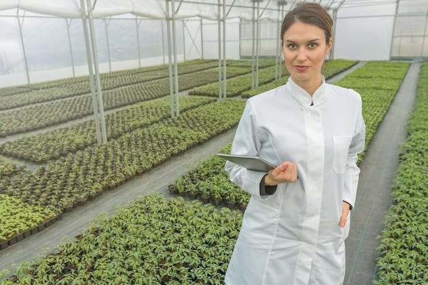 温室苗の成長タブレットを使用する女性農業技術者
