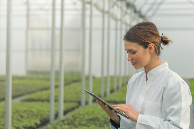 Greenhouse Seedlings Growth. Female Agricultural Engineer using tablet