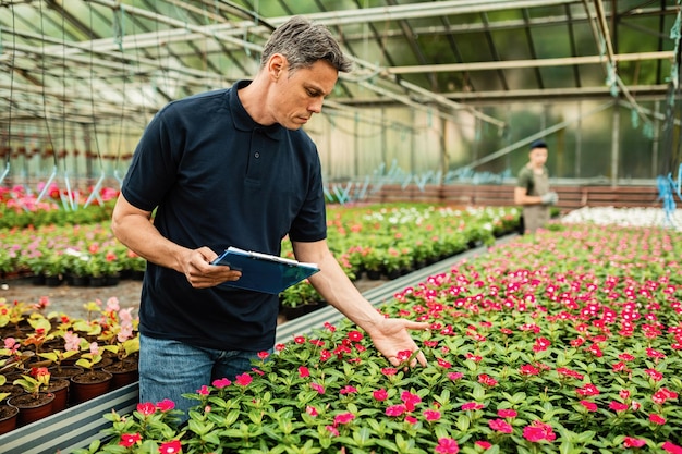 Greenhouse worker checking the quality of potted flowers while holding a clipboard