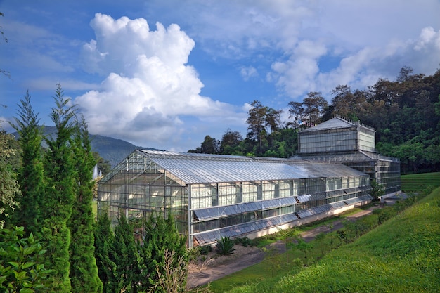 Greenhouses for growing plants