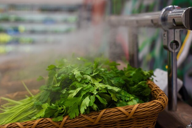 Greens on the counter of the storeDill and parsley on a wooden table blown with moisturizing steam