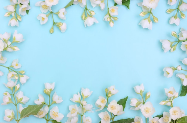 Greeting card background, delicate jasmine flowers on a blue background with copy space with selective focus