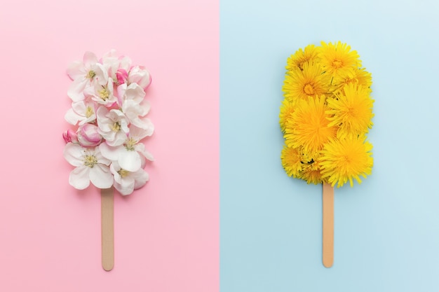 Il collage di concetto di biglietto di auguri piatto giaceva su sfondo rosa e blu con lecca lecca di gelato di fiori di mela e dente di leone su un bastoncino