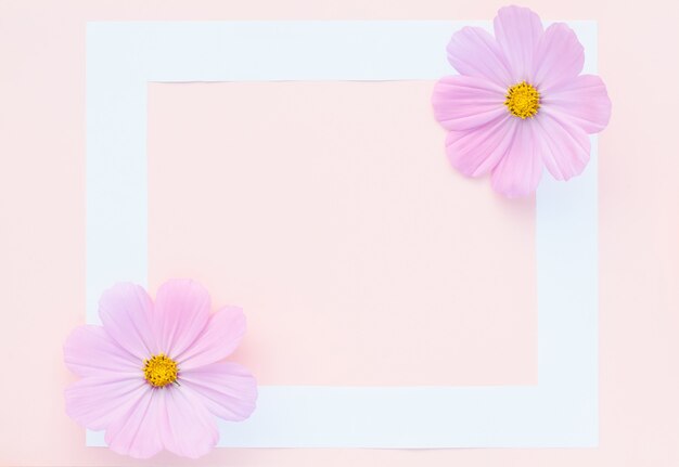 Greeting card, delicate lilac flowers on pink with white frame
