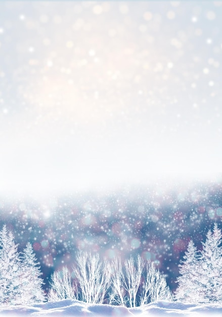 Greeting card Frozen winter forest with snow covered trees