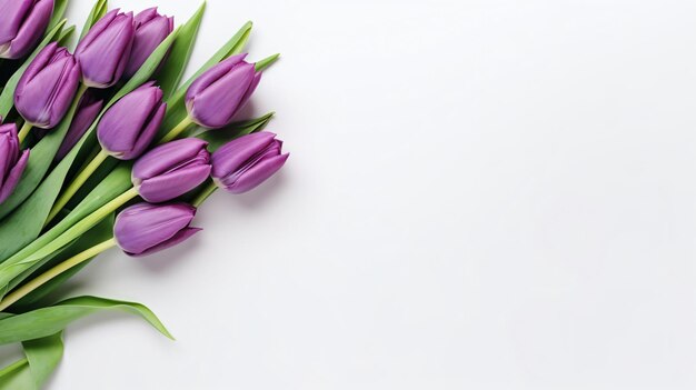 Greeting card mockup bouquet of purple tulips